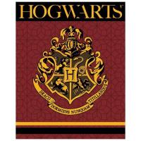 harry potter manta coralina muy suave 120*150cm y manta polar normal 100*140cm - details 0