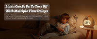 timed shutdown