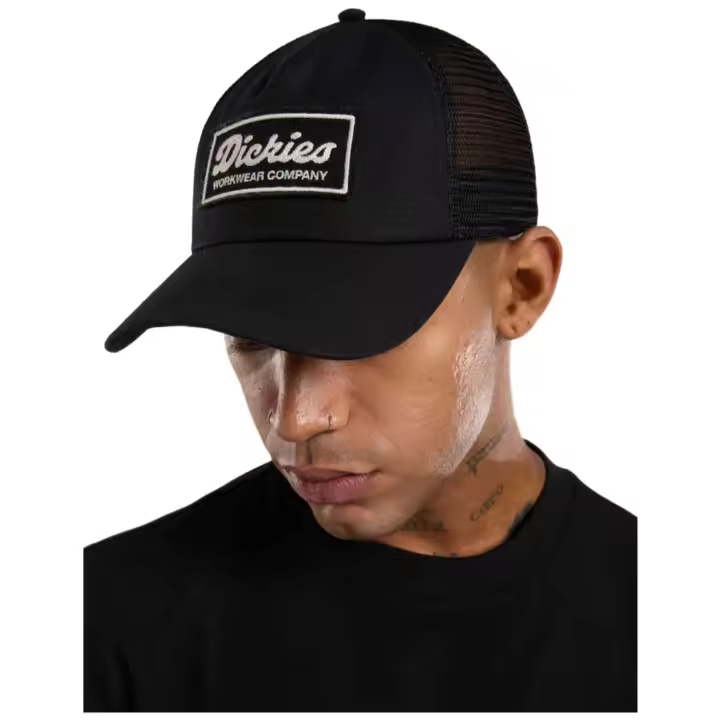 Gorra Dickies Lewistow para hombre en color negro - 1