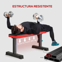 SPORTNOW Banco de Pesas Banco de Musculación Carga 300 kg Banco de Abdominales para Entrenamiento de Cuerpo Completo en Casa Gimnasio Negro - details 3