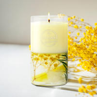 Ambientadores 360 - Pack de 2 Velas Aromática Ambar Botanic – 36h de Fragancia Natural | Relajación y Bienestar con Hierbas Naturales | Decorativa y Terapéutica, 130 g. - details 1