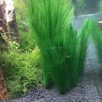 Rama De Feathersimulación Para Decoración De Bodas Y Fiestas En Casa Y Acuario Material Plástico Origine China Continental - details 9