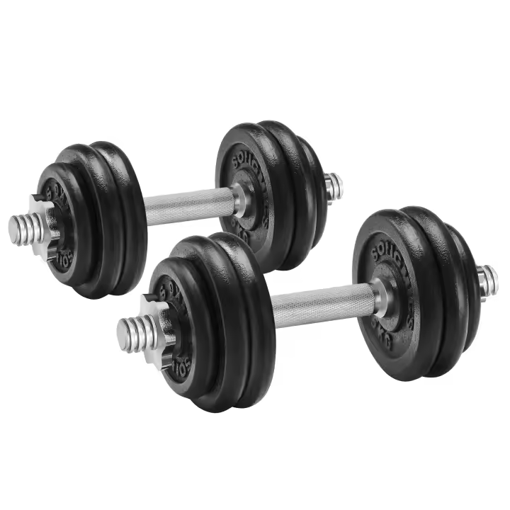 SONGMICS Juego de mancuernas ajustables de hierro fundido, para hombres y mujeres, Entrenamiento de fitness, Levantamiento de pesas en el gimnasio de casa - 1 Par - 1