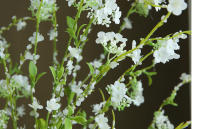 Palo De Sauce De Nieve Artificial De 116CM Para Decoración De Boda Y Hogar Estilo Nórdico Pastoral Florista Silken - details 14