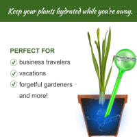 3Pc Bolas De Riego Automáticas Para Plantas Juego De Dispositivos De Riego Por Drip Sistema De Riego Self Watering Para Jardín Flores Y Plantas - details 3