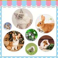 Set De 9 Piezas Para Baño De Mascotas Con Cepillo Para Gatos Y Perros Incluye Afilador De Uñas Y Cepillo Para Pecho De Pulgas - details 5