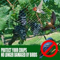 Malla De Protección Contra Pájaros Verde Para Jardín Cosechas De Frutas Verduras Flores Arbolado Pecuario Mejor Valla - details 1