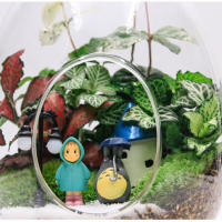 Florero de vidrio suculento de escritorio, globo de vidrio transparente, maceta de vidrio suculenta para mesa, plantador de plantas de aire suculentas - details 5