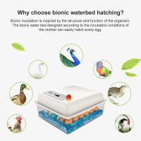 Juego de incubadora de 20 huevos para el hogar, granja, pollo, ganso, pato, pájaro,Plástico,Animales de granja,20 Eggs Incubator Set Fully Automatic Household Brooder, - details 3