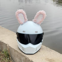 Decoración De Gafas De Invierno Conejo Rabioso Para Casco De Bicicleta Eléctrica Y Motocicleta Accesorio De Cabeza De Peluche Lindo Un Par - details 6