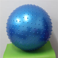 Bola De Yoga De 55cm Para Ejercicio En Gimnasio Y Pilates Balanza Entrenamiento Interior Core De Fitness - details 0