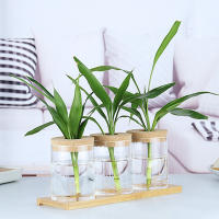 Terrario Hydroponico Vintage Con Flores Transparente Vaso De Cristal Para Plantas Verdes Decoración Para Escritorio Sala De Estar Oficina - details 9