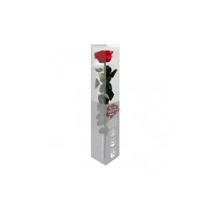Rosa Eterna Verdecora 30cm | Planta Duradera Sin Mantenimiento | Decoración Natural - Rojo - 1