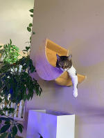 Estante Para Gato De Madera En Forma De Luna Colgante Montado En La Pared Con Hamaca Cama De Actividad Para Gatos Internos Soporte De Dormir Y Jugar - details 0