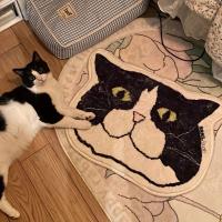 Alfombra Antideslizante Para Gato 1 Pieza Impermeable Y Resistente a Manchas Adecuada Para Baño Dormitorio Cocina Decoración Del Hogar - details 0