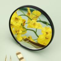 Espejo De Maquillaje Con Ventosa Magnificador Para Eliminar Acné Y Blackheads Portátil Redondo 5x/10x/15x Para Baño - details 3