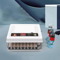 220V 24/36 Huevos Incubadora Brooder Pájaro Codorniz Pollito Huevos Granja Incubadora Automática Granja Herramientas Incubación Aves Turner - details 6