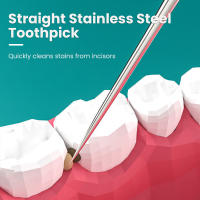 Juego De Herramientas Dentales Portátiles De Acero Inoxidable 304 Agujas Para Palillos Y Limpieza Dental Uso Individual - details 3
