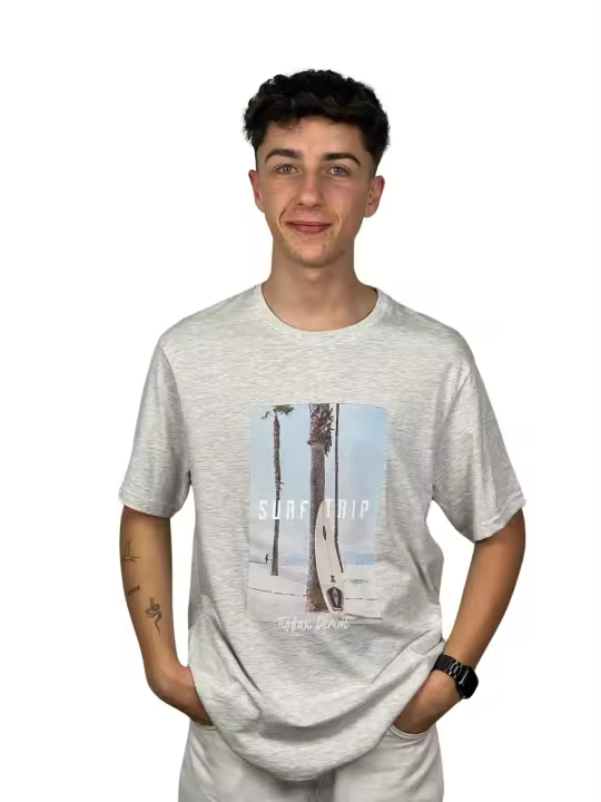 Camiseta Tiffosi Royce Gris-038 - 1