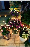 4 luces solares de luciérnaga, 10 luces LED solares de luciérnaga para exteriores, luces solares de jardín IP65 impermeables, impermeables, adecuadas para jardín, pasarela, balcón - details 3