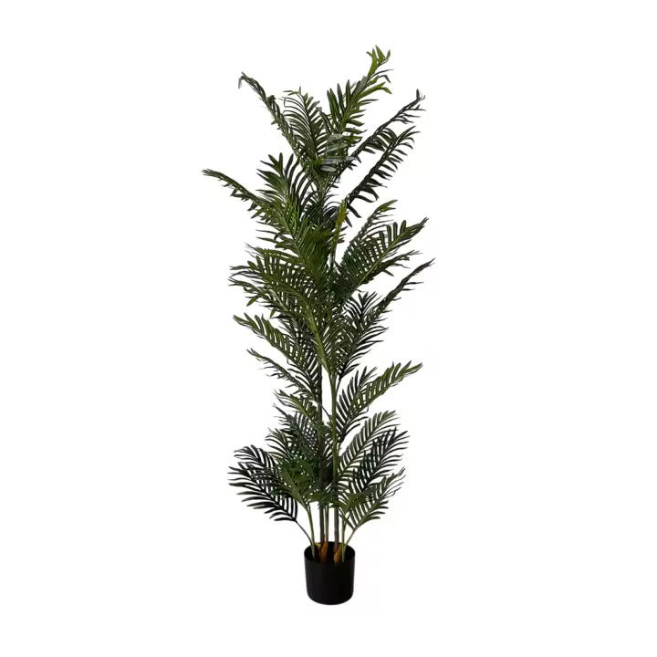 Acomoda Textil – Planta Artificial Decorativa con Macetero Elegante para Hogar, Jardín, Comercio y Oficina. Planta Sintética Resistente para Interior y Exterior Sin Cuidados. (Palmera Phoenix, 155cm) - 1