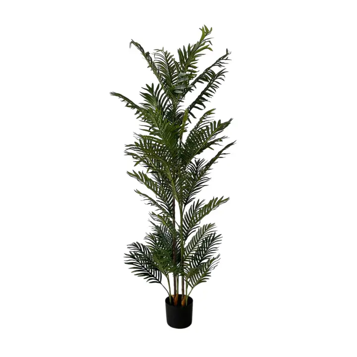 Acomoda Textil – Planta Artificial Decorativa con Macetero Elegante para Hogar, Jardín, Comercio y Oficina. Planta Sintética Resistente para Interior y Exterior Sin Cuidados. (Palmera Phoenix, 155cm) - 1