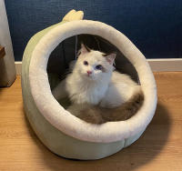 Alfombra De Gato Lavable Sillón Para Mascotas Pequeñas Cama Cálida Y Suave Jaula De Descanso Para Perros Pequeños Tienda De Invierno - details 7