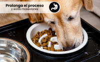 ALEVADI | Comedero Perro Elevado de 4 Alturas Ajustables | 2x Cuencos Acero Inoxidable | 1x Cuenco Antivoracidad ingesta lenta | ajustables en función del tamaño y edad | Ideal para Perros Gigantes, Grandes, Medianos y Cachorros | Patas antideslizantes - details 5