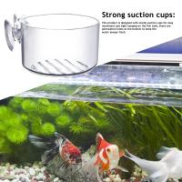 1PC Decoración De Acuario Planta En Vaso De Acrílico Con Soporte De Absorción Para Río Rojo Alimento Para Peces En Tanque Vaso De Jardinería - details 3