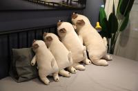 Muñeco De Peluche De Pug Lindo Para Niños Y Niñas Regalo De Navidad O Cumpleaños Almohada De Sueño Animal Kawaii Tamaño 55-90 Cm - details 6
