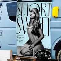 Bandeera De Cumpleaños Con Diseño De Banderas Grande De Sabrina Carpenter Decoración Interesante Para Fiesta De Cumpleaños Banner De Poliéster Tamaño Variado - details 6