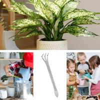Riega De Acero Inoxidable Para Bonsái Con Mango Ergonómico Herramienta Para Suavizar Tierra Y Raíces Para Jardín Y Uso Doméstico - details 2