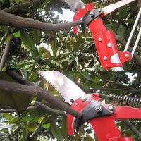 Tijeras De Poda De Jardín Harvester Clipper Sin Caña De Roce Con Tres Engranajes Herramienta De Poda De Alta Altitud Para Ramas Y Recogida De Frutas - details 7