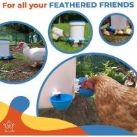 Bol De Agua Automático Para Pollos Pato Y Pigeon Dispensador De Agua Libre Rango En Granja Plástico Resistente Para Aves De Corral - details 3