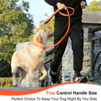 Correa Para Perros De 6 Piezas Larga De Poliamida Con Mango Suave Y Durable Con Ganchillo De Rotación Metálica Para Pequeños a Grandes Perros - details 6
