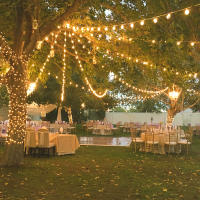 Cadena De Luces LED G40 36 M Exterior Con 64 Luces De Plástico Para Jardines Bodas Fiestas Terrazas Instalación Autónoma Impermeable - details 9