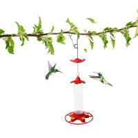Alimentador de colibrí colgante al aire libre, boca ancha para fácil llenado, alimentador para patio, jardín, decoración de árboles - details 1