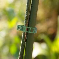 Abrazaderas para plantas para soportes vegetales/enrejidas 100-pack Verde - details 1