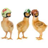 Gorro De Protección Para Pájaros Pequeños Accesorios De Mascotas De Pollo Resguardo Del Sol Y Lluvia Juguetes Para Pájaros De Corral - details 10