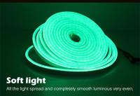 Tira De Luces LED Neón Flexible 12V 6*12 Brillante Impermeable Para Decoración Y Modificación De Coches Con Chip SMD 2835 - details 2