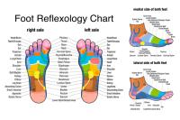 Rodillo De Masaje Para Pies De Madera Estimulador De Acupuntos Alivio Del Dolor De Fascitis Plantar Relajación Muscular De Los Pies Herramienta Manual Sin Químicos De Alta Importancia - details 4
