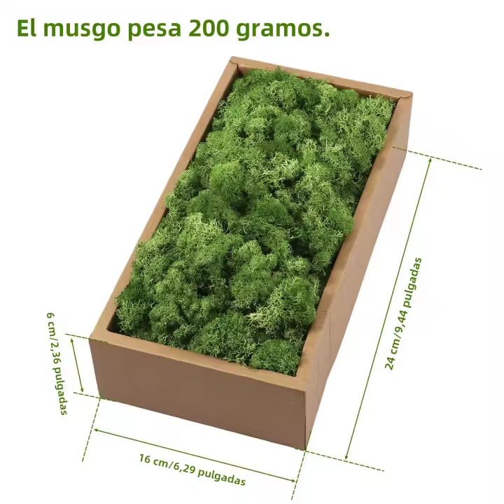  Decorativo De Moss Preservado Ligero Arte Artificial De Moss Verde Eterno Para Decoración De Paredes En Casa Y Fiestas - 1