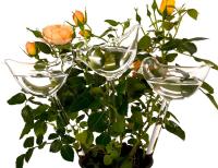 1Pcs Globos De Riego Para Plantas En Forma De Pájaro Autoidalización De Agua Bulebas Claras Hechas a Mano - details 5