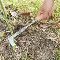 Herramienta Manual De Jardín De Acero Inoxidable Para Eliminar Malas Hierbas Con Mango De Roble Herramienta De Rama Para Jardinería Y Vivero - details 6