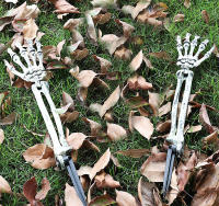 Cabeza De Esqueleto Calavera Realista Para Decoración De Jardín Casa Y Calle En Halloween Accesorios De Fiesta Y Horror Props De Mano Y Brazos De Hombre - details 6
