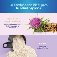 Tongil - Cápsulas de Cardo Mariano 10000mg 40 Cápsulas| Apoyo al Hígado y Metabolismo | Equilibrio Nutricional y Bienestar | Suplemento Alimenticio para la Desintoxicación - details 2
