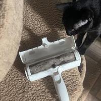 ACE2ACE Quitapelos y Rodillos para Mascotas - Limpieza de Pelaje - Gatos y Perros - Lavable y Reutilizable - Cepillos Depilación - details 8