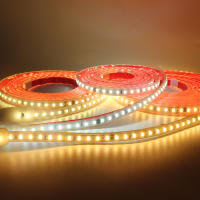 Tira De LED Flexible 220V IP68 Impermeable Con 120LEDs/m SMD 2835 yInterruptor on off EU Plug Para Iluminación Exterior - details 5