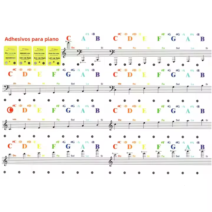 Pegatinas De Teclas De Piano Colores Transparentes Y Vibrantes Para Principiantes 15.5x40mm Adecuadas Para 88/61/49/37 Teclas Decoración Musical DIY - 1