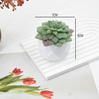 Plantas De Suculentas Artificiales En Macetas Decorativas Falsas De Espinosa Con Macetas Para Decoración Del Hogar Y Jardín - details 3